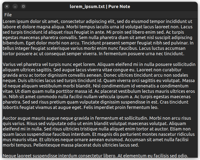 Pure Note screenshot on Ubuntu Linux